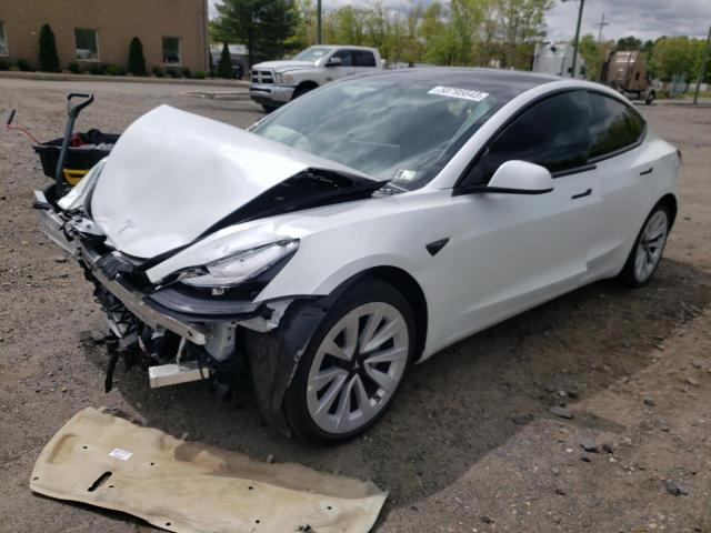 5YJ3E1EA9PF447878 - 2023 TESLA MODEL 3 WHITE photo 1