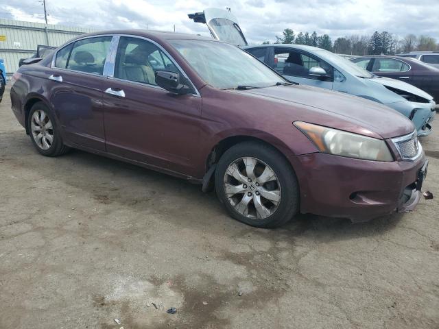 1HGCP26838A020610 - 2008 HONDA ACCORD EXL BURGUNDY photo 4