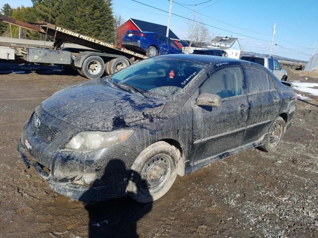 2010 TOYOTA COROLLA BASE, 