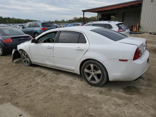 1G1ZC5E13BF192794 - 2011 CHEVROLET MALIBU 1LT 白色 照片 2