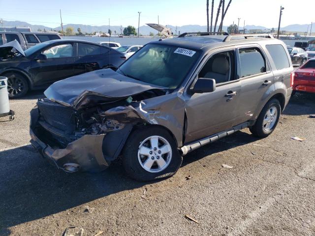 2010 FORD ESCAPE XLT, 