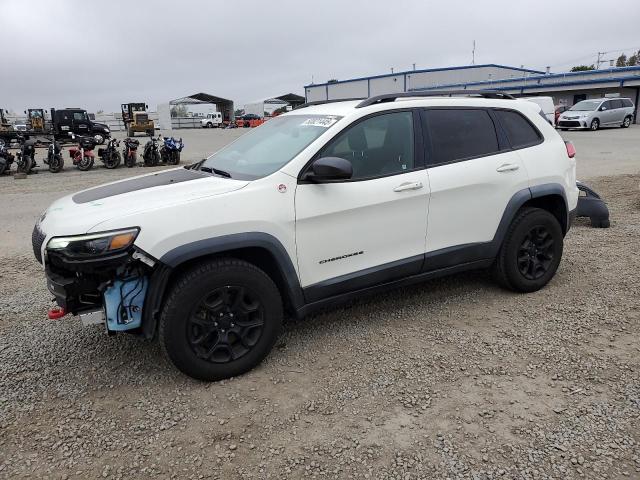 1C4PJMBX0KD127324 - 2019 JEEP CHEROKEE TRAILHAWK WHITE photo 1