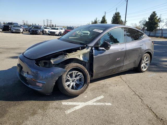 2023 TESLA MODEL Y, 