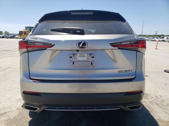 JTJYARBZ0K2133944 - 2019 LEXUS NX 300 BASE 银色 照片 6