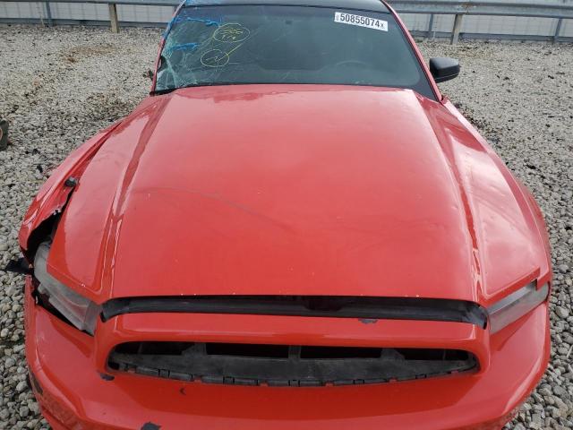 1ZVBP8AM7E5270368 - 2014 FORD MUSTANG RED photo 11