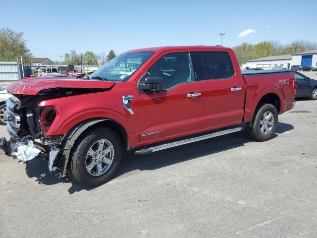 1FTFW1E19MFC21874 - 2021 FORD F150 SUPERCREW RED photo 1