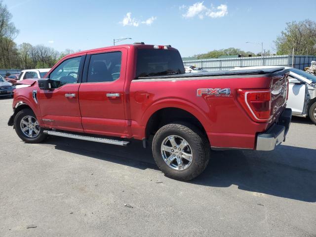 1FTFW1E19MFC21874 - 2021 FORD F150 SUPERCREW RED photo 2