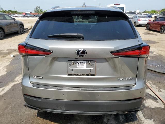 JTJSARBZ0M2179718 - 2021 LEXUS NX 300 BASE Gümüş fotoğraf 6