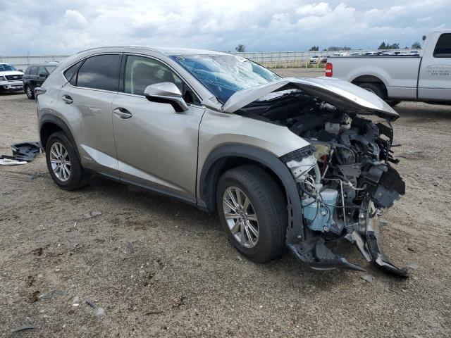 JTJBJRBZ3K2107974 - 2019 LEXUS NX 300H GRAY photo 4