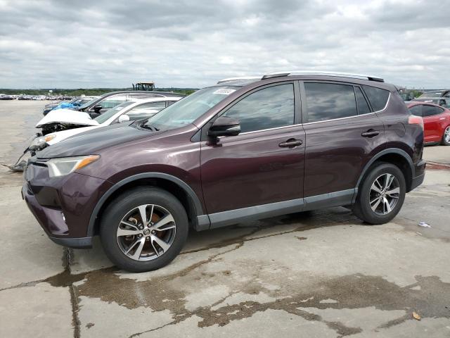 2T3WFREV9GW264728 - 2016 TOYOTA RAV4 XLE PURPLE photo 1