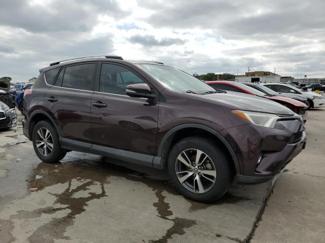 2T3WFREV9GW264728 - 2016 TOYOTA RAV4 XLE PURPLE photo 4