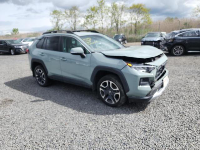 2T3J1RFVXKW042134 - 2019 TOYOTA RAV4 ADVENTURE GRAY photo 1