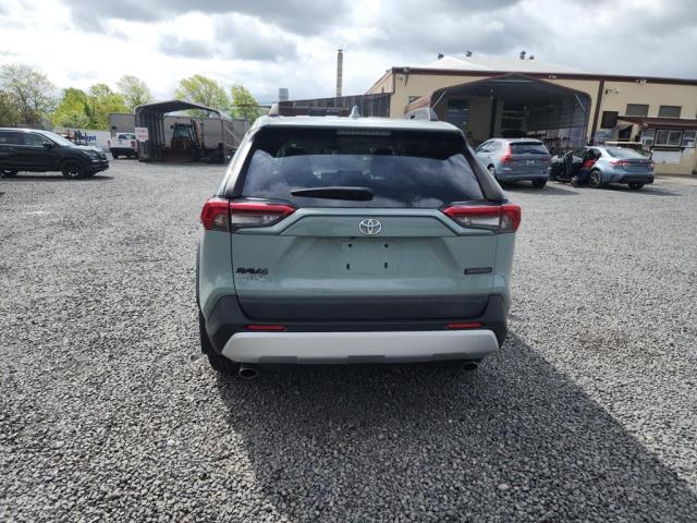 2T3J1RFVXKW042134 - 2019 TOYOTA RAV4 ADVENTURE GRAY photo 13