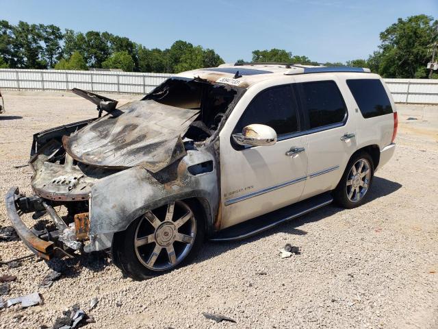 1GYFC43569R261894 - 2009 CADILLAC ESCALADE HYBRID WHITE photo 1