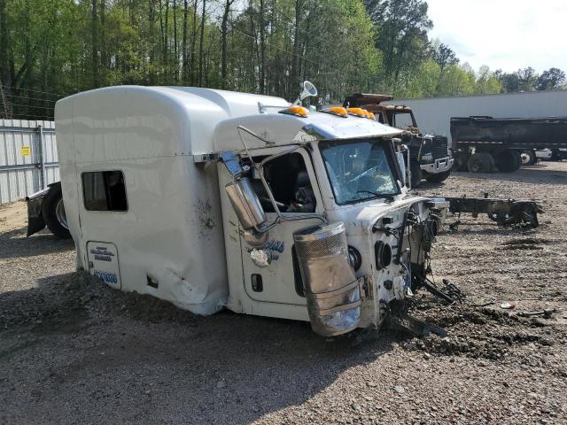 2019 PETERBILT 389, null