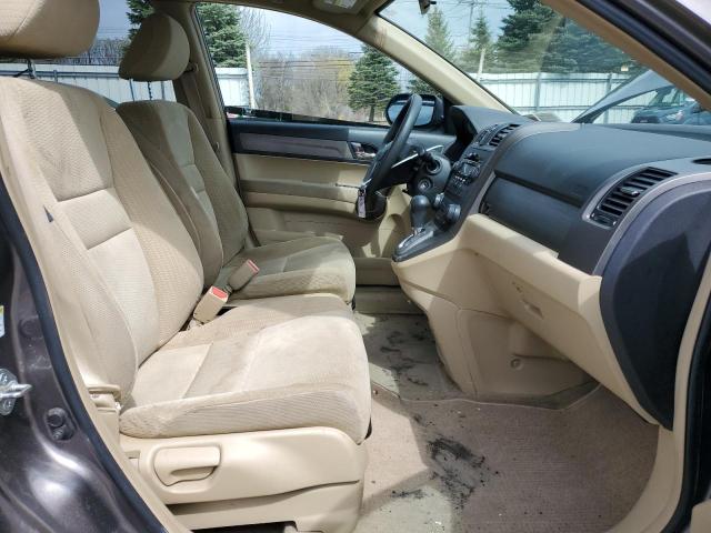 5J6RE48529L017243 - 2009 HONDA CR-V EX BROWN photo 7