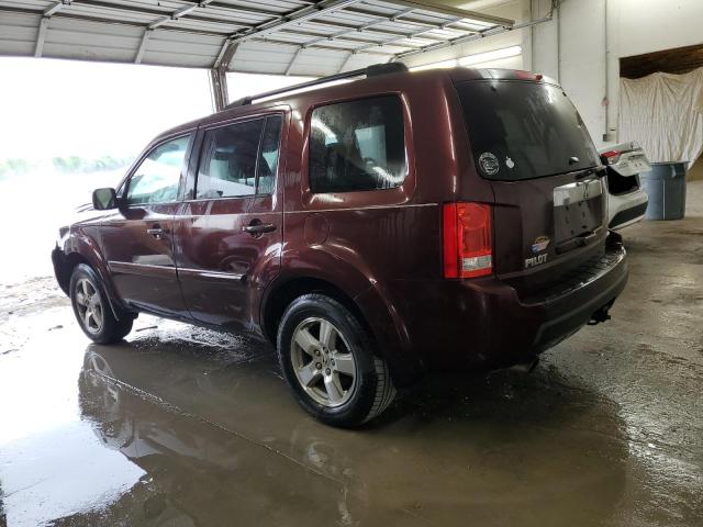 5FNYF38569B019220 - 2009 HONDA PILOT EXL MAROON photo 2