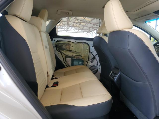 JTJYARBZ6K2120986 - 2019 LEXUS NX 300 BASE 白色 照片 11