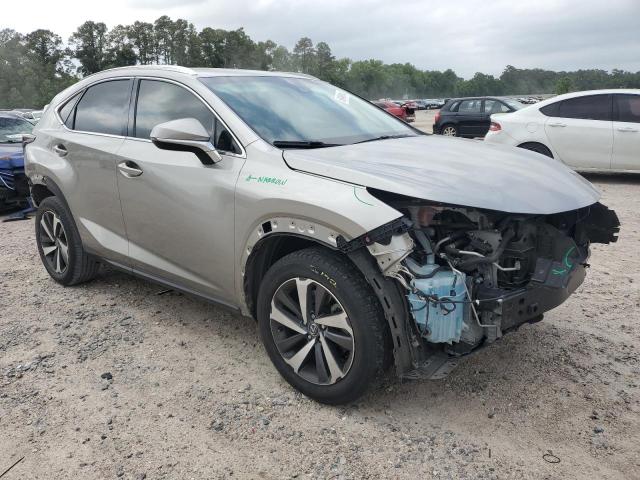 JTJYARBZ2J2087063 - 2018 LEXUS NX 300 BASE 金色 照片 4