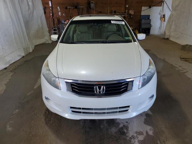 1HGCP36809A034942 - 2009 HONDA ACCORD EXL WHITE photo 5