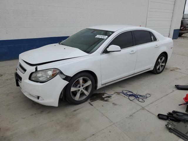 1G1ZC5EU8BF103487 - 2011 CHEVROLET MALIBU 1LT WHITE photo 1