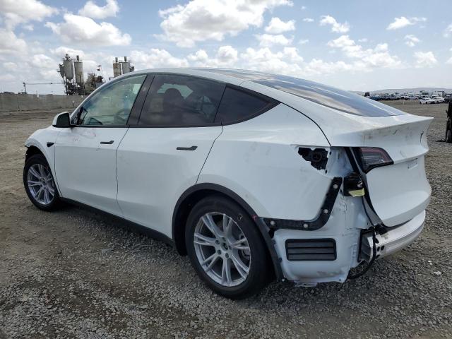 7SAYGDEDXRF055641 - 2024 TESLA MODEL Y WHITE photo 2