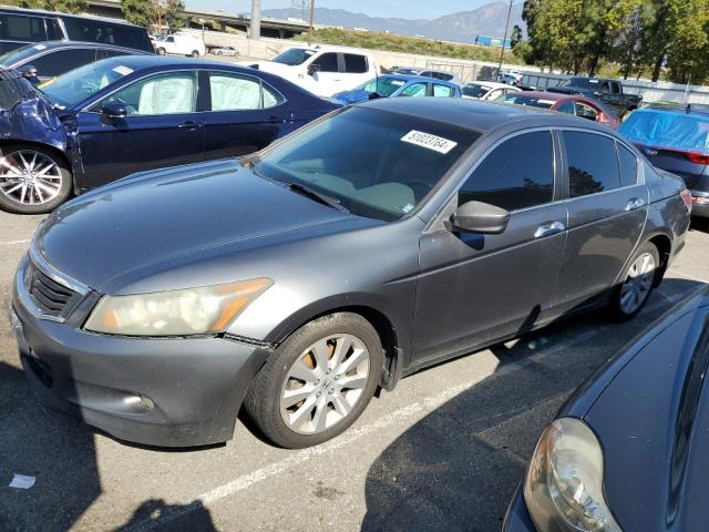 2008 HONDA ACCORD EXL, 