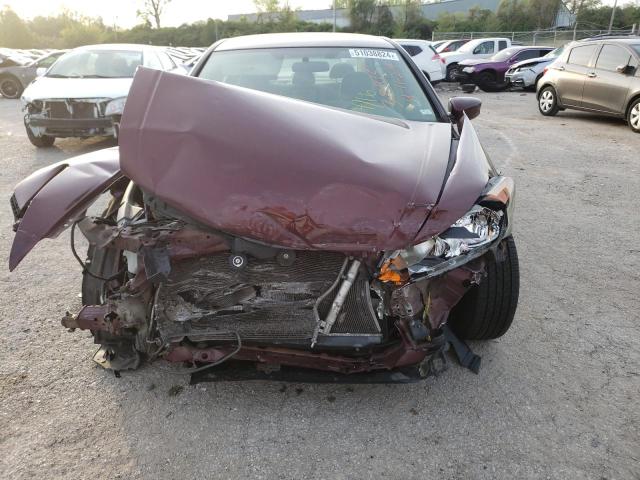 1HGCP26369A192250 - 2009 HONDA ACCORD LX BURGUNDY photo 5