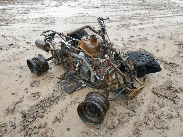 RF39GA824RT003105 - 2024 CAN-AM ATV BURN photo 1
