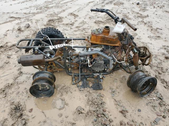 RF39GA824RT003105 - 2024 CAN-AM ATV BURN photo 10