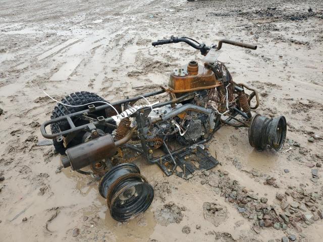 RF39GA824RT003105 - 2024 CAN-AM ATV BURN photo 4