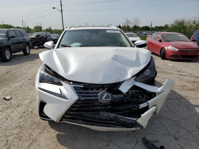 JTJYARBZ2K2143066 - 2019 LEXUS NX 300 BASE Ağ foto 5
