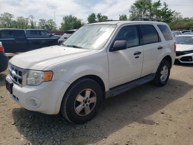 2009 FORD ESCAPE XLT, 