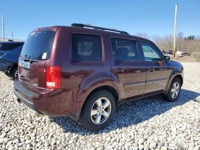 5FNYF4H51BB087775 - 2011 HONDA PILOT EXL PURPLE photo 3