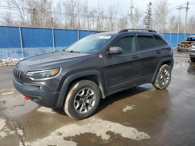 1C4PJMBX5KD193027 - 2019 JEEP CHEROKEE TRAILHAWK GRAY photo 1