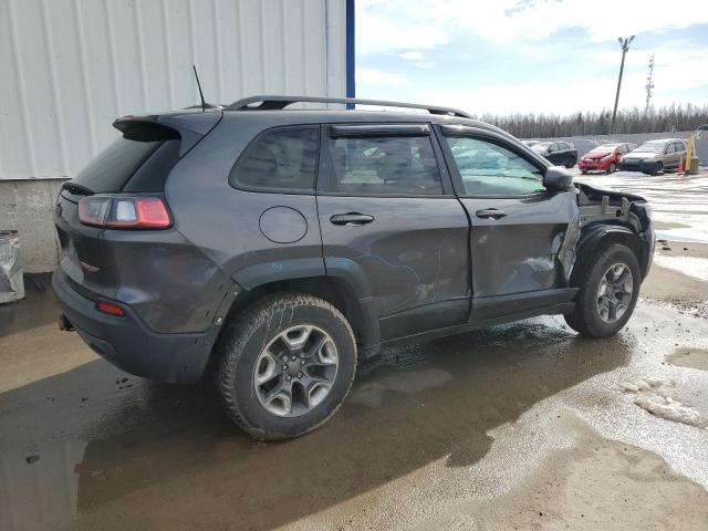 1C4PJMBX5KD193027 - 2019 JEEP CHEROKEE TRAILHAWK GRAY photo 3