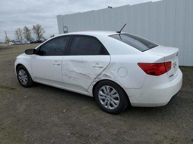 KNAFU4A27C5628633 - 2012 KIA FORTE EX WHITE photo 2