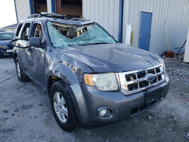 2010 FORD ESCAPE XLT, 