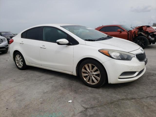 KNAFX4A64F5382459 - 2015 KIA FORTE LX WHITE photo 4