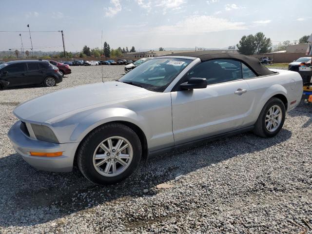 1ZVFT84N875352047 - 2007 FORD MUSTANG SILVER photo 1