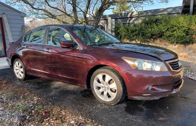 2010 HONDA ACCORD EXL, 