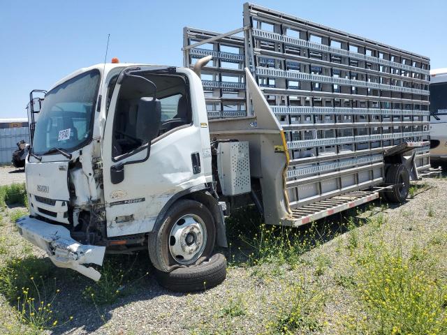 JALE5W16XH7302670 - 2017 ISUZU NRR WHITE photo 2