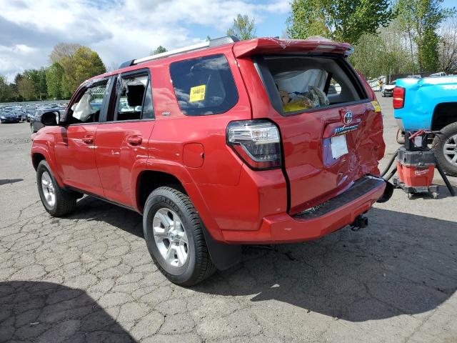 JTEMU5JRXR6242381 - 2024 TOYOTA 4RUNNER SR5/SR5 PREMIUM RED photo 2