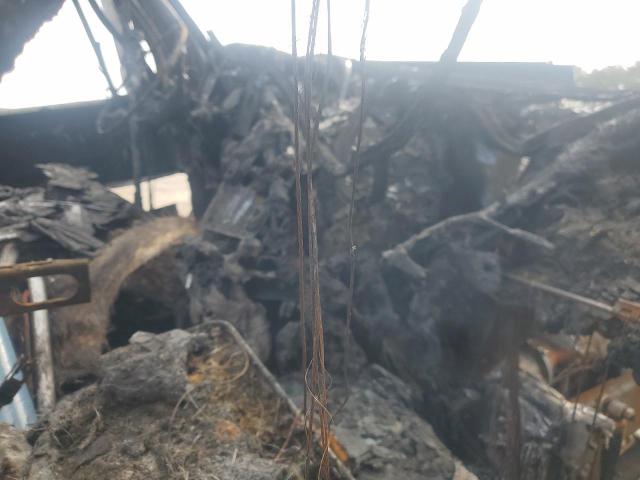 3AKJGLD57FSGF8974 - 2015 FREIGHTLINER CASCADIA 1 Սպիտակ լուսանկար 5