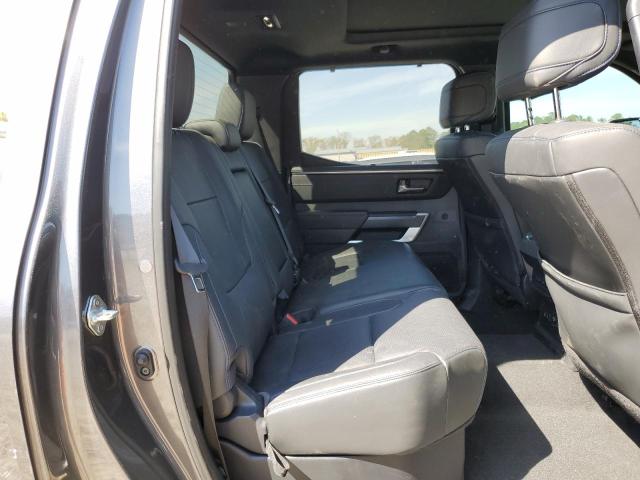5TFNA5DBXPX073809 - 2023 TOYOTA TUNDRA CREWMAX PLATINUM ნაცრისფერი ფოტო 10