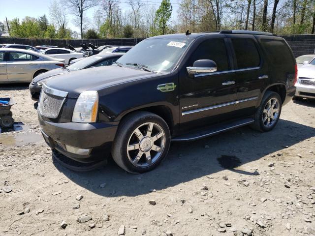 2010 CADILLAC ESCALADE LUXURY, 