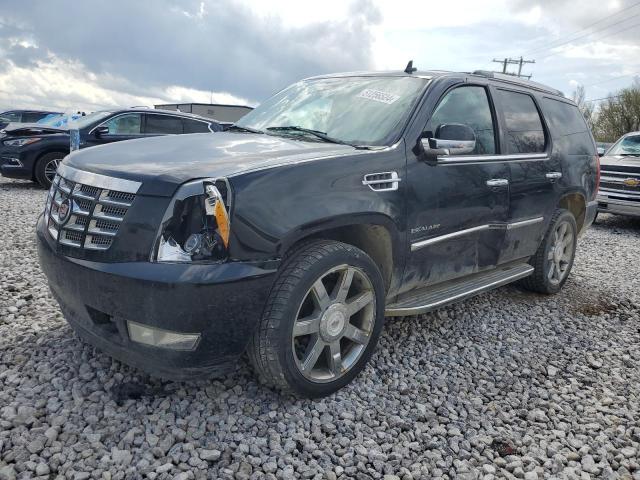 2010 CADILLAC ESCALADE LUXURY, 