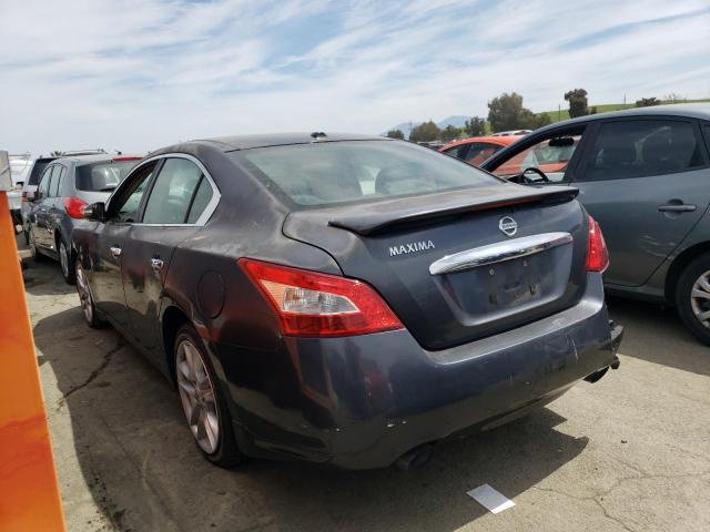 1N4AA5APXAC822062 - 2010 NISSAN MAXIMA S BLUE photo 2