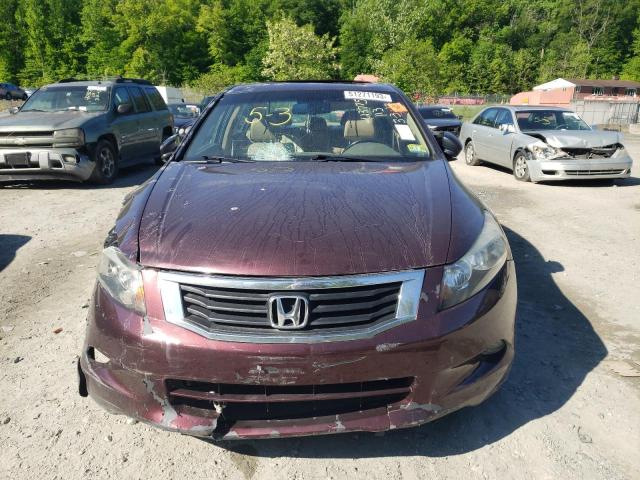 5KBCP3F8XAB010661 - 2010 HONDA ACCORD EXL BURGUNDY photo 5