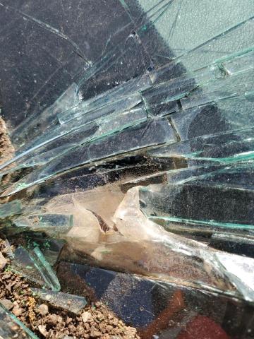 19XFB2F9XDE211354 - 2013 HONDA CIVIC EXL Grafit foto 13